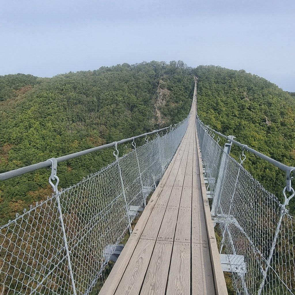 Geierlay – Hangbrug in de Hunsrück